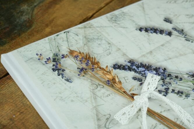 madeve stefana gamou vivlia efchon 124