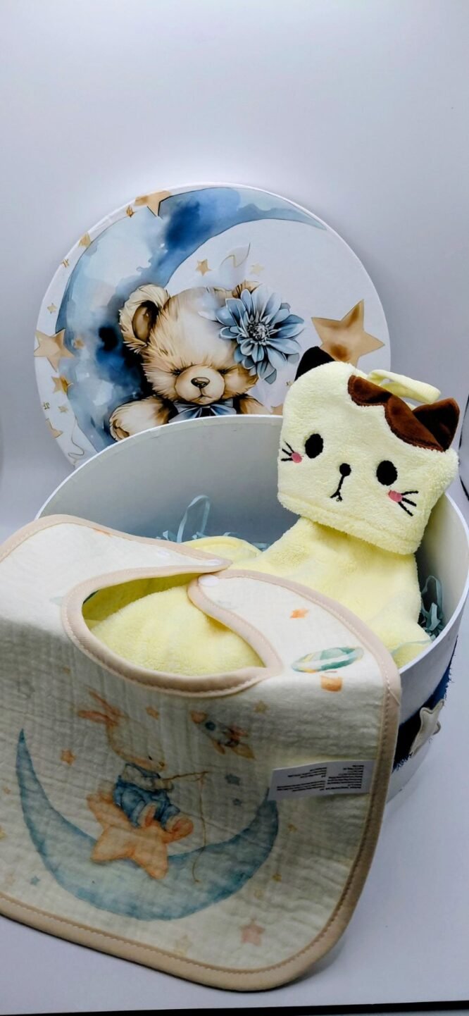 Moon Teddy Baby Box